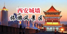 免费看插B毛片！中国陕西-西安城墙旅游风景区